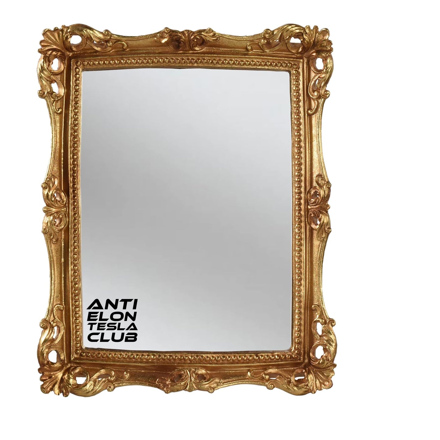 Anti Elon Tesla Club Vinyl Decal, Matte Black, 4.5 x 5.5 inches, Weatherproof