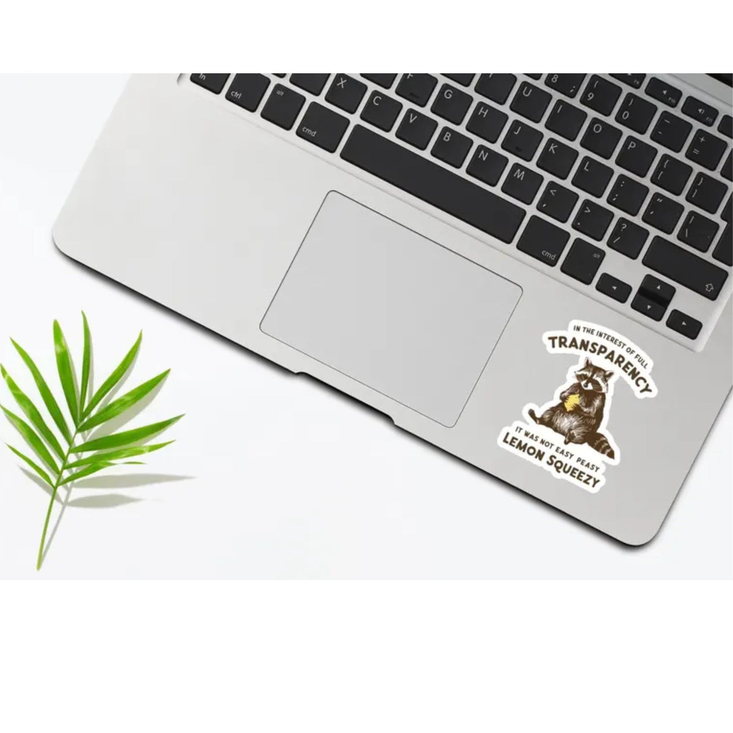 Funny Raccoon Lemon Vinyl Sticker, Transparency Quote Design, Decorative Decal for Laptops and Water Bottles