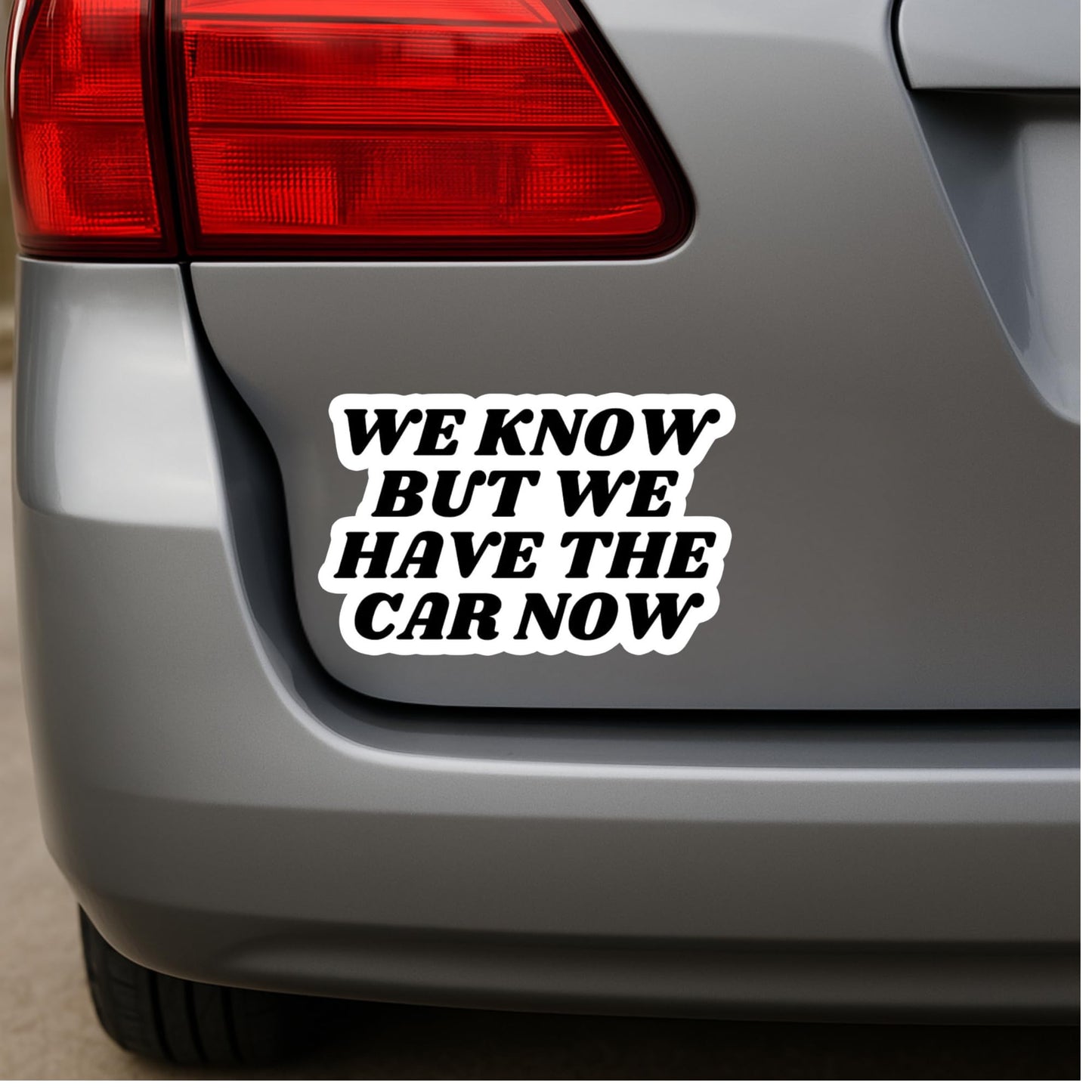 Anti Elon 5-Piece Vinyl Sticker Set– Car Stickers for Bumpers, Windows, Laptops, and More - “No Elon,” “We Have The Car Now,” “Eco Friendly Not Elon Friendly” Perfect for Tesla Drivers