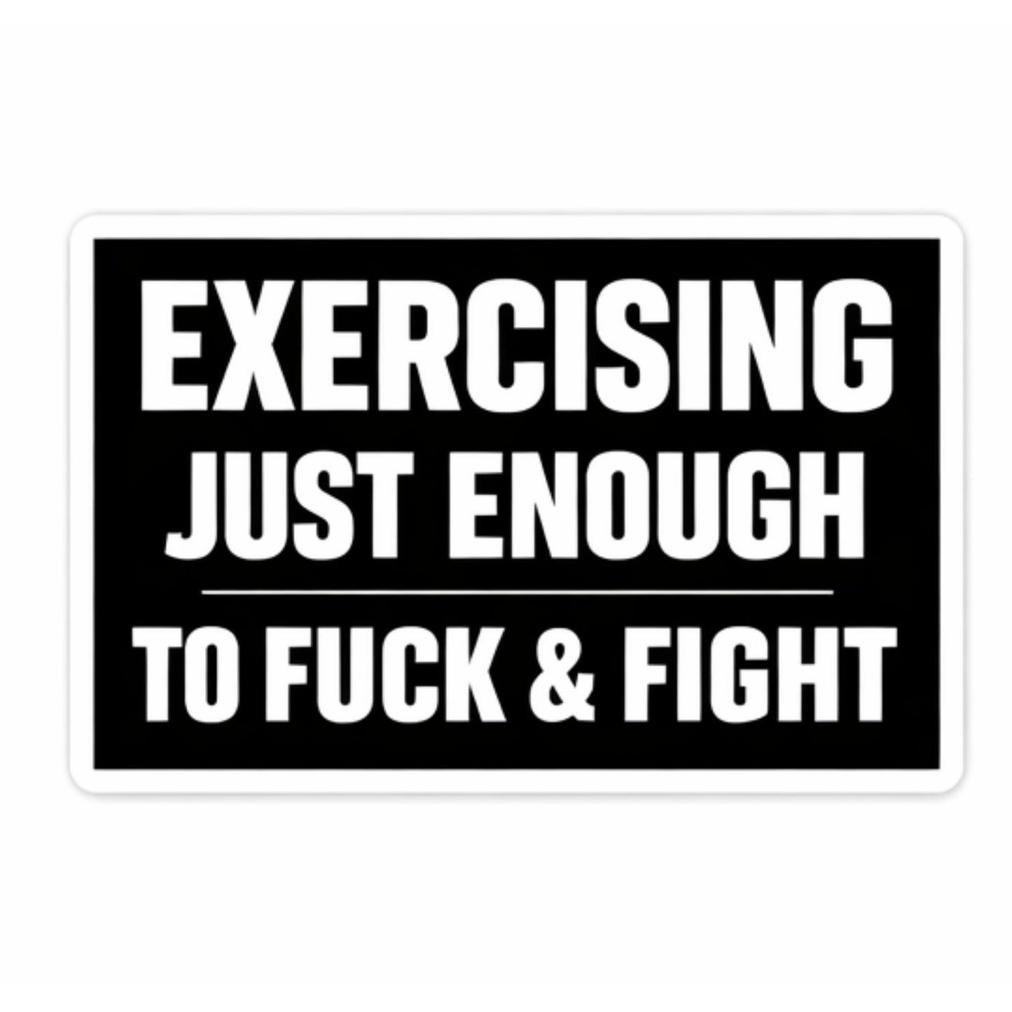 Funny Workout Sticker Pack – 3 Inch Vinyl Stickers (3 Pack) – Exercising Just Enough to Fuck & Fight – Gym Humor Decals for Phone, Laptop, Water Bottle