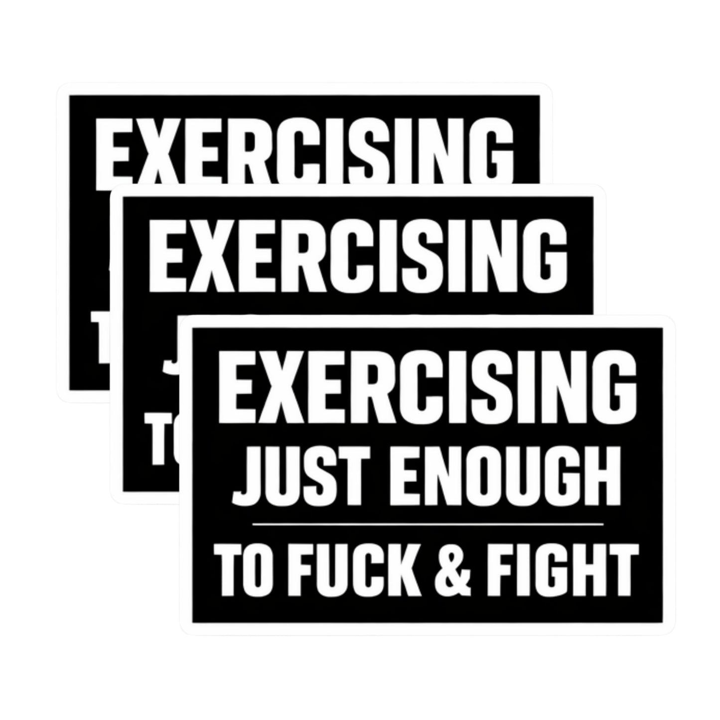 Funny Workout Sticker Pack – 3 Inch Vinyl Stickers (3 Pack) – Exercising Just Enough to Fuck & Fight – Gym Humor Decals for Phone, Laptop, Water Bottle