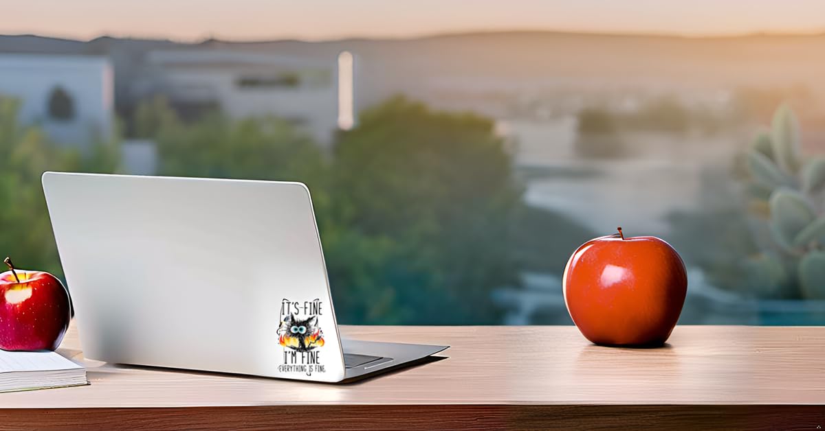 Funny Cat Sticker, It's Fine Everything is Fine Design, Vinyl Decal with Flames (x3) by RockPaperStikerz