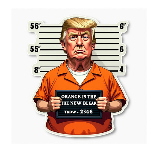 Political Satire Vinyl Sticker, Orange Prison Mugshot Design, Humorous Statement Decal Anti-Trump Sticker (4 Inch)