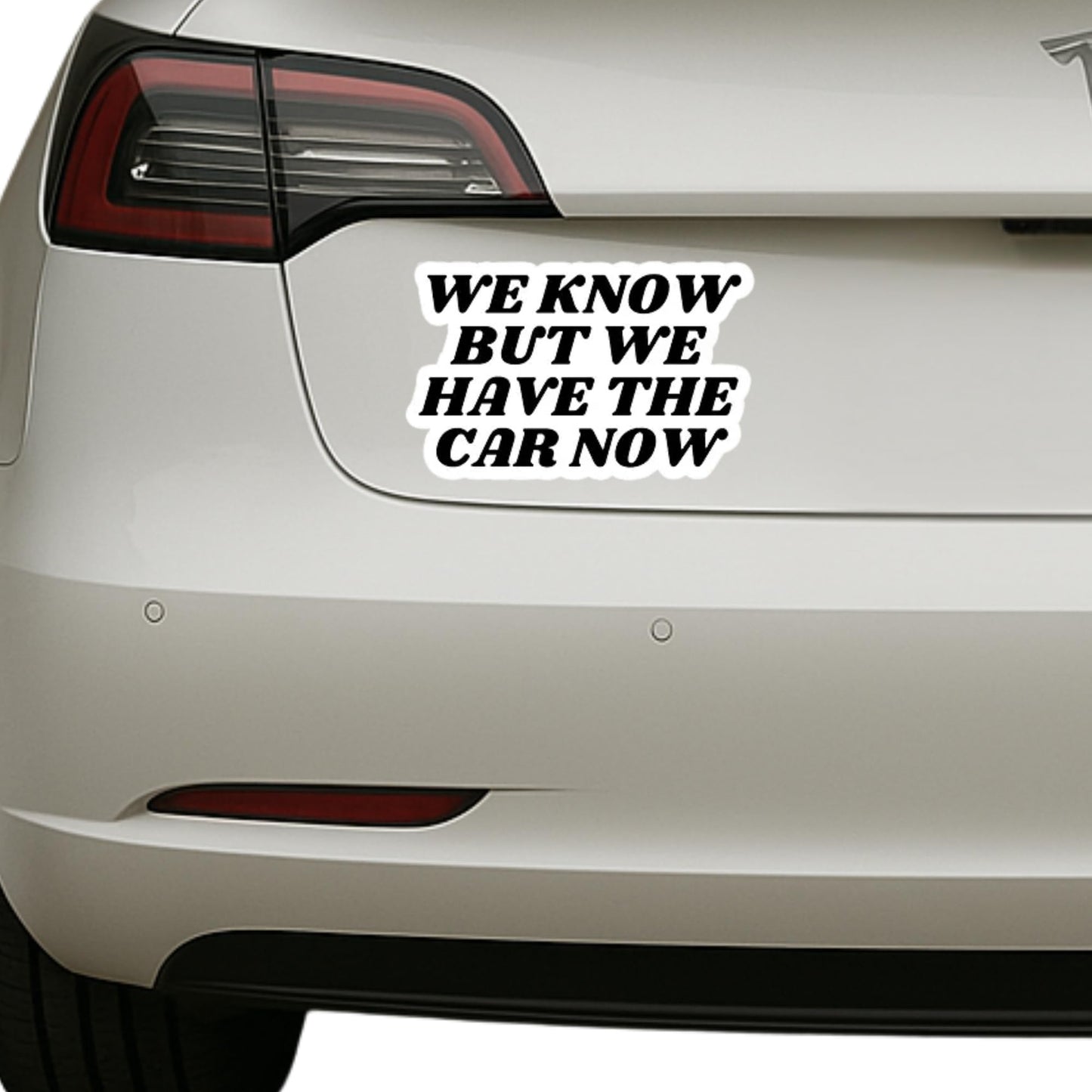 Anti Elon 5-Piece Vinyl Sticker Set– Car Stickers for Bumpers, Windows, Laptops, and More - “No Elon,” “We Have The Car Now,” “Eco Friendly Not Elon Friendly” Perfect for Tesla Drivers