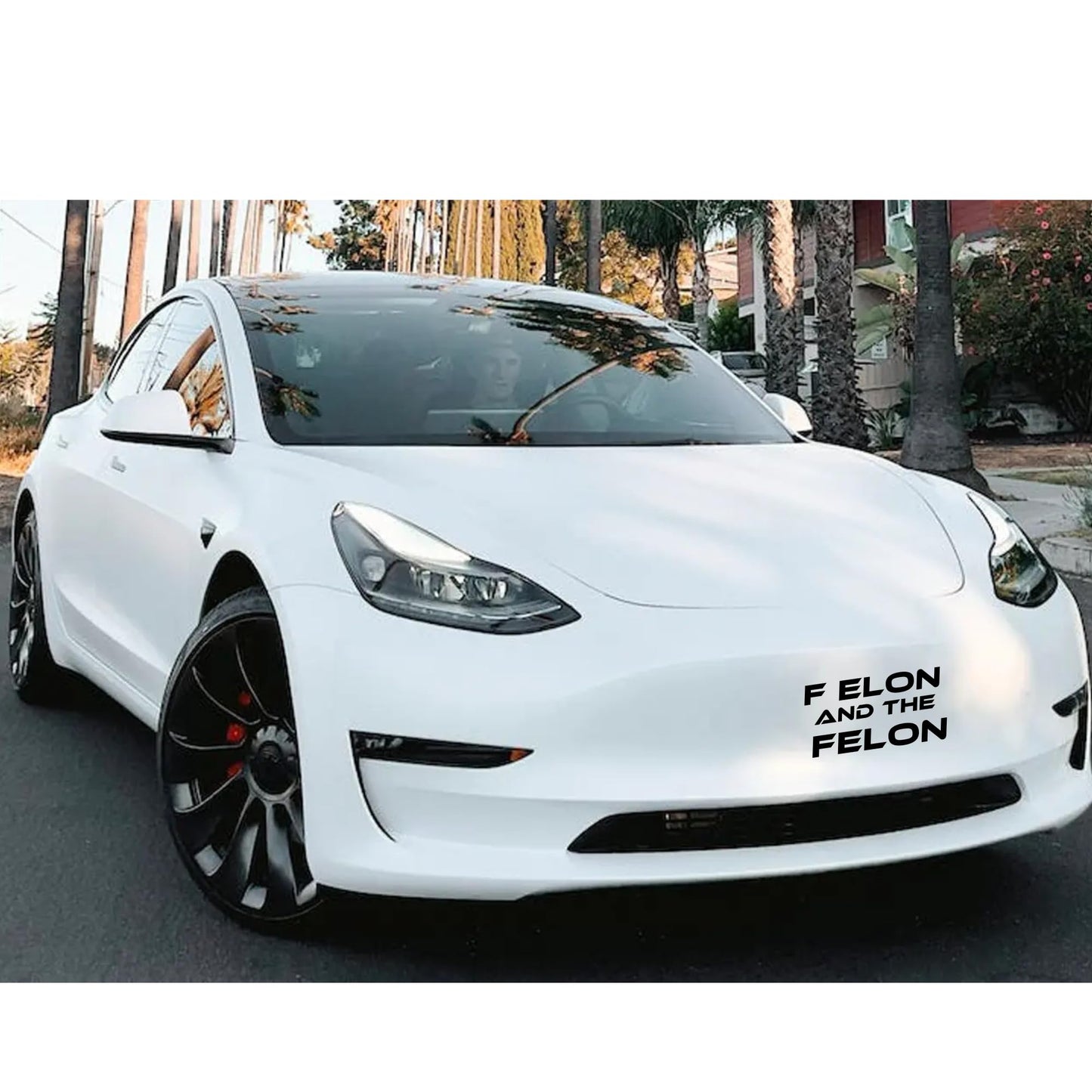 F Elon and The FELON Vinyl Decal | Matte Black Waterproof Car Sticker | Anti Elon Tesla Driver Bumper Decal | 7 x 3.65 Inch Weatherproof Vinyl Sticker