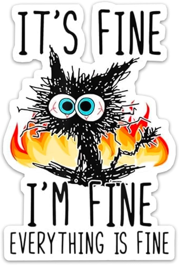 Funny Cat Sticker, It's Fine Everything is Fine Design, Vinyl Decal with Flames (x3) by RockPaperStikerz