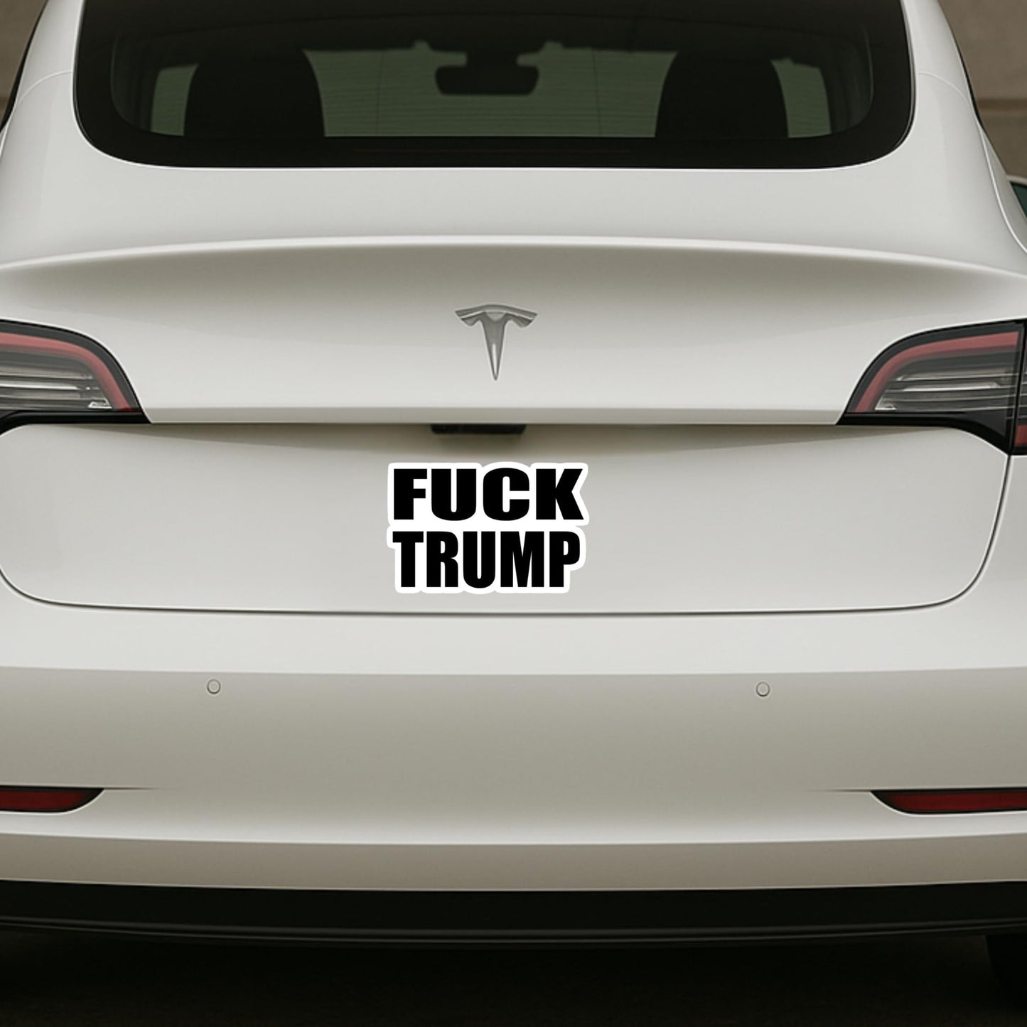 F Trump Sticker - Customizable Size - Vinyl Sticker - Laptop, Bumper, Water Bottle, Perfect for Anti Elon Tesla Drivers
