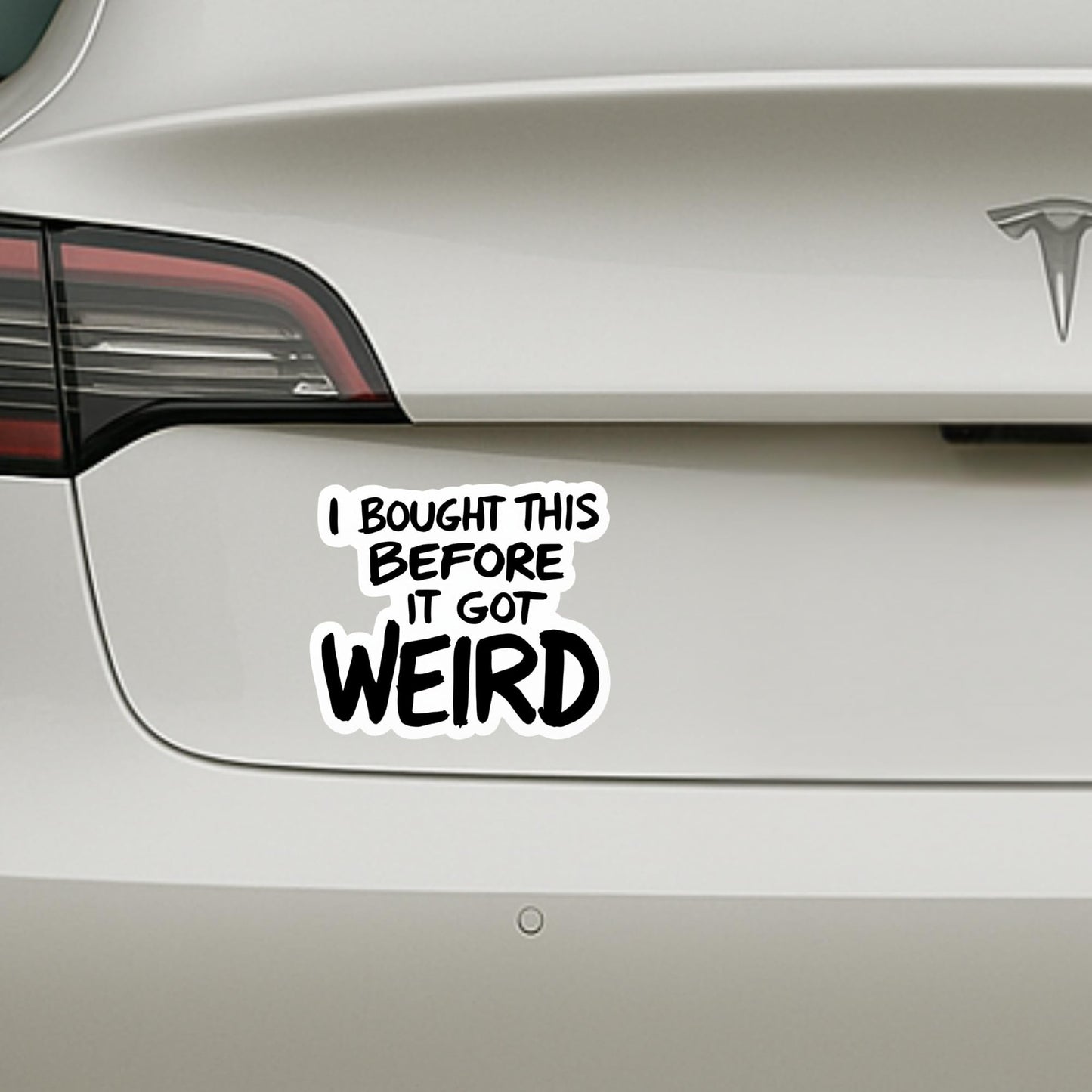 Anti Elon 5-Piece Vinyl Sticker Set– Car Stickers for Bumpers, Windows, Laptops, and More - “No Elon,” “We Have The Car Now,” “Eco Friendly Not Elon Friendly” Perfect for Tesla Drivers