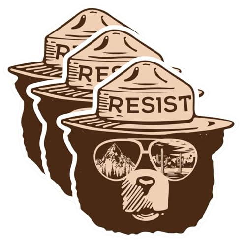 Resist Ranger Bear 3-Pack Vinyl Decals, 3 Inch, Glossy Finish, UV Resistant, Cartoon Style Bear with Aviator Sunglasses for Water Bottles, Laptops, Cars